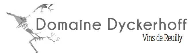 SAS Dyckerhoff
